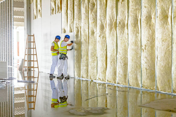 Best Insulation for Specific Applications in Carrollton, TX